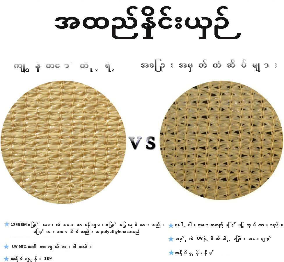 1711878097330087.jpg